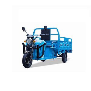 전기 세발 자전거의 컨설팅 가격 도매 운송 고용력 배터리 자동차 차량
