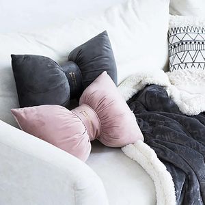 Pillow Vintage Luxury S Hugging Velver Kawaii Designer Aesthetic Sofa Office Chair Cojines Home Decorations Minimalist