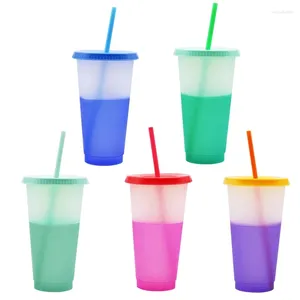 Becher Farbwechselbecher wiederverwendbarer Becher mit Deckel und Strohhalm Eiswasser BPA Party 5 Farben