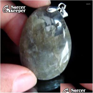 Hänghalsband trenda hängen natursten labradorite dropppärlor glida smycken för kvinnor FS945 leverans otwvm