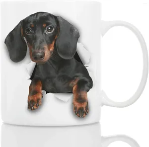 Kupalar en şirin siyah dachshund köpek kupa - seramik komik kahve mükemmel sevgili hediye sevimli yenilik (11oz)