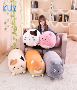 6090 cm Nuovo gigantesco simpatico peluche di peluche bambola per animali adorabile gatto maiale di divano divano cuscino cuscino per bambini decorazioni per la casa play t181479047