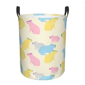 Borse per lavanderia Capybara Modello colorato cesto Grande cesto di stoccaggio animali selvatici di ragazze Sud America Organizzatore giocattolo giocattolo