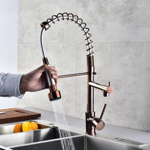 Bathroom Sink Faucets Style Brass Fashion Pull Out Sprayer Kitchen Taps Faucet