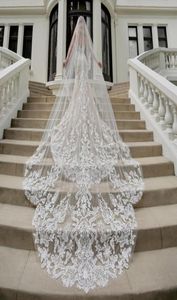 2020 Fashion Wedding Veils 3M Long Cathedral Length One Layer Lace Appliqued Edge Tulle Bridal Veil For Women Hair Accessories5814519