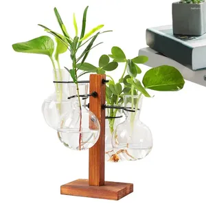 Vasos Planta terrário com suporte de madeira vaso de vidro de vidro vaso hidroponics portador de ar para a decoração da casa de jardim