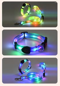 犬の首輪ペット製品猫LEDライト防水アクセサリー装飾的な襟