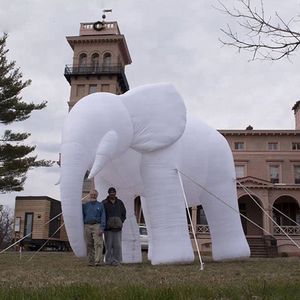 도매 야간 파티 큰 흰색 팽창 식 코끼리 마스코트 동물 만화가 휴가 장식을위한 LED 조명