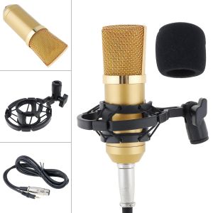 Microphones Professional Metal BM700 Condenser Microphone with Circuit Control and Goldplated Large Diaphragm Head for Studio / KTV