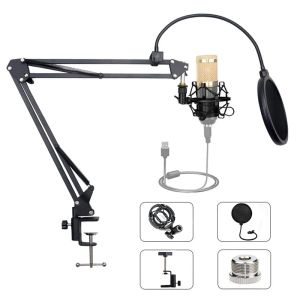 Stand BM 800 Suspension Scissor Arm Microphone Mic Stand BM800 Clip Holder and Table Montering Clamp Pop Filter Windcreen Mask Shield