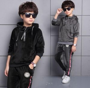 2017 Kids Sports Suit for boys Velvet Embroidery Animal Long Sleeve Shirt Pant Set Girl Sweatsuit Autumn Children Clothing Set T5730075