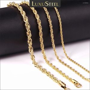 Kedjor Luxusteel 2/3/4/5mm repkedja halsband Rostfritt stål för kvinnor Män, bleknar aldrig vattentät twist choker silver ton guldfärg