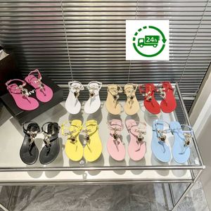 Mode tofflor kvinnor designer sandaler godis färger kvinnor sommar strand fritid flip flops fast färg utomhus sandal chunky klackar låga klackskor