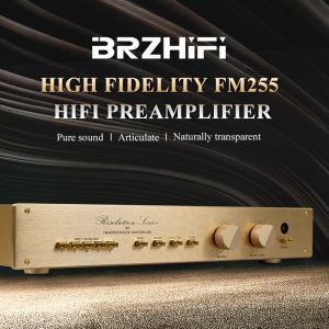 Verstärker Brzhifi Klon Schweiz FM255 HIEND AUDIO Power PreaMplifier Klassiker Gold Hifi Audiophile Stereoverstärker Home Preamp