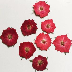 Dekorativa blommor 12stpressade torkade röda/mörkröda rosblomma för smycken bokmärke telefonfodral vykort inbjudningskort scrapbooking diy