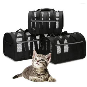 CAT CATTORI MESH CORRITORE PET traspirante per gatti Dog cuccioli riflettenti gatos che trasportano pacchetti portatili forniture per trasporto perro