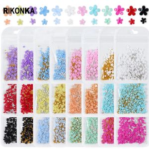 Removers 24 påsar/5g akrylblomma mixstorlek nagelkonstdekorationer uppsättning för DIY Summer Manicure Steel Bead Gem Rhinestones naglar tillbehör