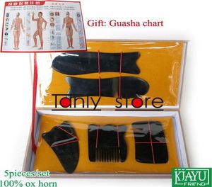 Geschenk Guasha Chart Ganz Einzelhandel Traditionelle Akupunktur -Massage Hardbox Gua Sha Kit 5pcsset 100 Ox Horn6452755