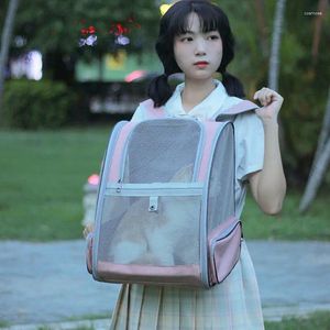 Transportadores de gatos Backpack Backpack Summer Bolsa respirável Pet fora Carry Carry Dog School Puppy Transparent Large Space