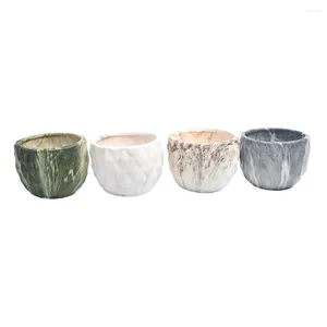 Vasi 4 pezzi trasparente vaso di fiori in ceramica autoassorbimento e salvataggio dell'acqua non facile da deformare il cactus