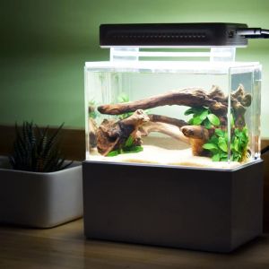 Mini kleiner Aquarium -Fischtank USB -Grenzfläche mit LED -Lampenlicht Wasser Fliter Fischtank Hausdekorationen Aquariumversorgung