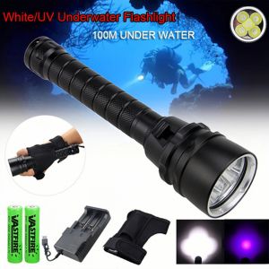 Professional 10W White UV Light Underwater 100m uppladdningsbar 5*LED-dykningens ficklampa 365-395nm Torch Water Sports Lantera