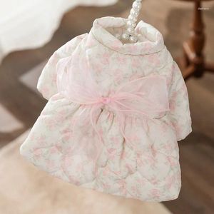 Hundekleidung rosa Rose Prinzessin Kleid 2024 Haustierdown -Mantel Winter Teddy warme Kleidung Welpe Bogen Sie zweibeinige Rock