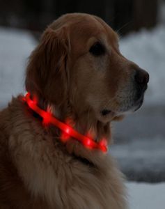 USB Rechargeable LED Dog Collar Waterproof LightUp Night Safety Neck Loop Fashing Tube Band Grow in the Dark6344114