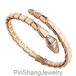 Bracciale di lusso Bracciale in oro Bracciale Designer Diamond Braccialetti per donne Snake Designer Designer Gioielli in acciaio inossidabile Mens Regalo per matrimoni Bracciale Womens