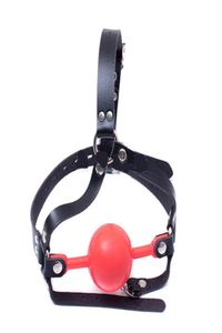 BDSM Extreme Play Roth Gag Gearnage Gear