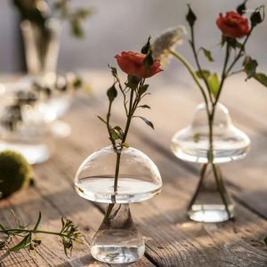 Vazolar Sevimli şekilli mantar cam vazo hidroponik bitki el sanatları dekoru ev oturma odası saksılar için dekor