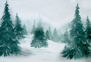 Mehofond Christmas Photography Background Snow Snow Forest Pine Alberi da fondo Fotofono Photofone Studio