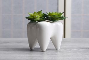 Teeth shape ceramic pot succulent planter mini white cute garden flower decoration indoor office desk decor4091061