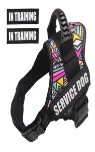 Petk9 Dog Harness Service Dog Vest Nopull Отражающий дышащий дышащий ремесленник для домашних животных для на открытом воздухе тренировки 2011266520072