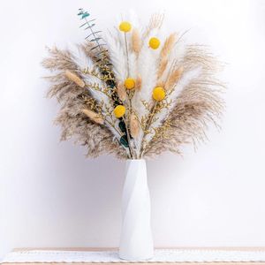 Dekorativa blommor Naturtorkade Pampas Grass Bouquet Boho Home Decor Phragmites Wedding Floral Arrangemang Dekorationer