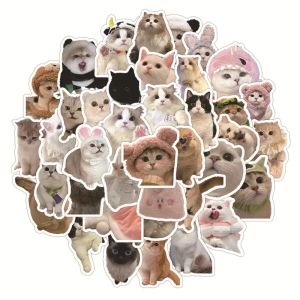 60 Sheet Kawaii Cat Sticker Real Shot Lovely Kitten klistermärke DIY Stationery Dekorativ Scrapbook Telefon Klistermärke Studentförsörjning