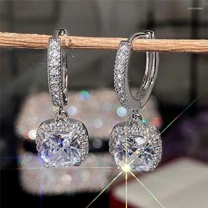 Brincos de Backs Silver 925 Jóias com Diamante de Pedra Gemo para Cristal Drop Crystal Drop Anniversary Presente