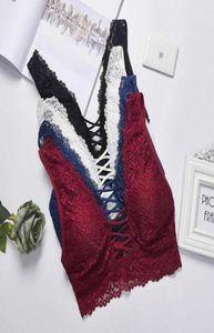 2020 Frauen intimiert Spitze Pushup Bra gepolsterte Weste Bralette Crop Tops Unterwäsche Blau Schwarz Weiß Blau13159668