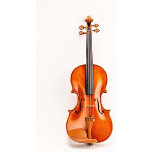 D Z STRAD MODEL 220 Keman Paketi - Açık net ton için baskın teller, yay, kasa, rosin ve omuz istasyonu ile tamamlandı - tam boy 4/4