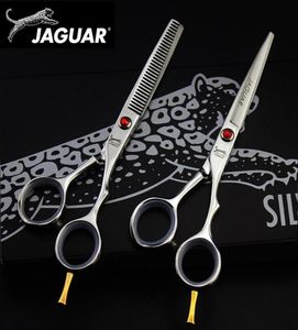 PIRBASSO DI PACCOLA JAGUAR BARBER SHOP PRESENTAZIONE PROFESSIONE STRUMENTI DI TAGLIO DI ALTA QUALITÀ DI MAGGIORNAGNA