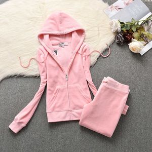 Neue europäische und amerikanische Velvet Fashion Casual Set Womens Clean Edition Cardigan Kapuze mit Kapuze gerade Beinhose zweiteilige Set Sportswear Designer Kleidung für Frauen