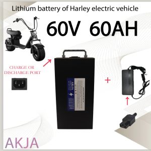 60V 20AH -60AH Scooter elétrico para 250W ~ 1500W Motocicleta/triciclo/bicicleta à prova d'água Bateria de lítio + 67.2V Carregador