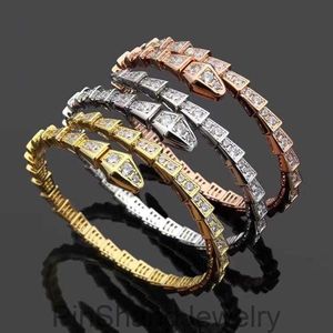 Braccialetti di fascino donne osso serpente aperte regolabili per uomini in acciaio inossidabile micro diamanti braccialetscharmm