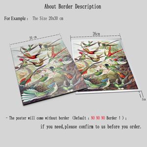 Ernst Haeckel Biology Posters Nature Birds Prints Vintage Hummingbird Botanical Tropical Wall Art Canvas Painting Pictures Decor