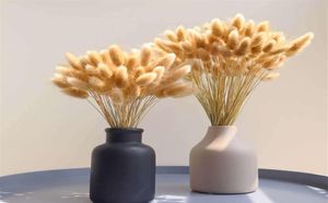 50PcsLot Dried Flowers Rabbit Bunny Tail Grass Pampas Natural Plants Bouquet Lagurus Ovatus Wedding Christmas Decoration246j7459943