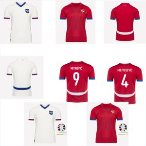 The New1: 1 2024 Schweiz Fußballtrikot