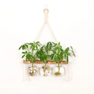 Wall Hanging Planter Terrarium for Hydroponic Plants Propagation Station Flower Pot Bulb Glass Vase for Office Home Decoration 240329