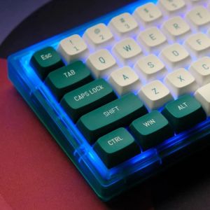 Acessórios CSA Perfil 148 Chaves Botânica CAPS CAPS Custom PBT Dyesub de chaves para 61/64/66/68/84/87/96104 Teclado de teclado para jogos com ISO