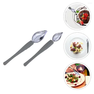 Dinnerware Sets 2 Piping Spoon Tool Painting Pencil For Sauce Stainless Steel Culinary Silica Gel Saucier Decorating