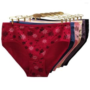Women's Panties Women Underwear Cotton Briefs Plus Size Woman Pants Lingerie Lady Knickers Girl Intimate 4XL 3XL 2XL 3 Pieces/Lot